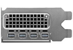ASUS PG192B NVIDIA RTX 2000 ADA 16GB EKRAN KARTI  90WK0000-MVQ040