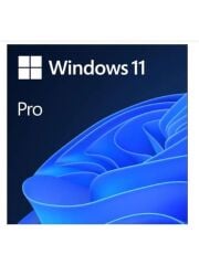 MICROSOFT WINDOWS 11 PRO 64BIT TÜRKÇE KUTU HAV-00159